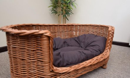 2 Bed in Southampton 6