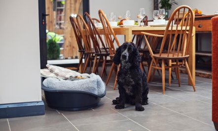 5 Bed in Gloucester 5