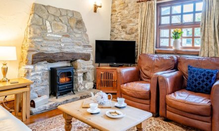 1 Bed in Penclawdd 4