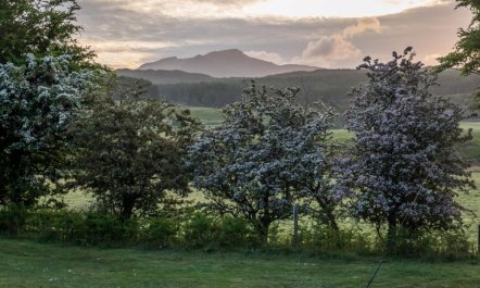 2 Bed in Isle Of Arran 1