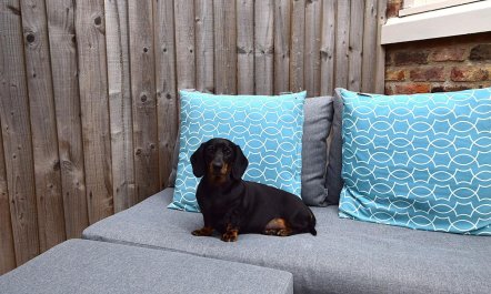 1 Bed in Sinnington 0