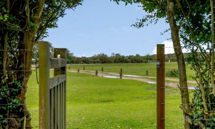 4 Bed in Salisbury 1