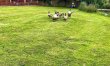 2 Bed in Norwich 5