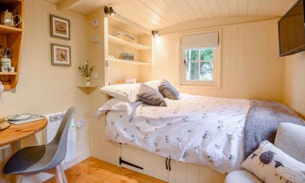 1 Bed in Ashbourne 5