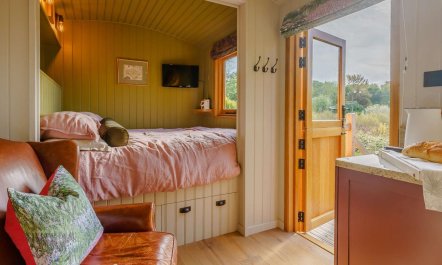 1 Bed in Sandown 9