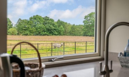 3 Bed in York 8