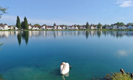 3 Bed in South Cerney 0