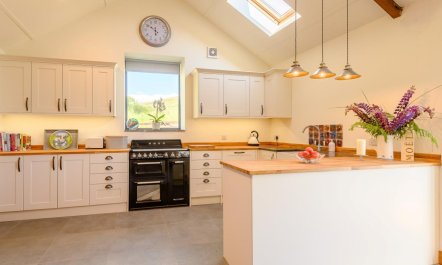 3 Bed in Swansea 4