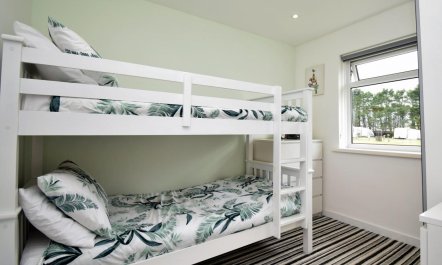 2 Bed in Swansea 9