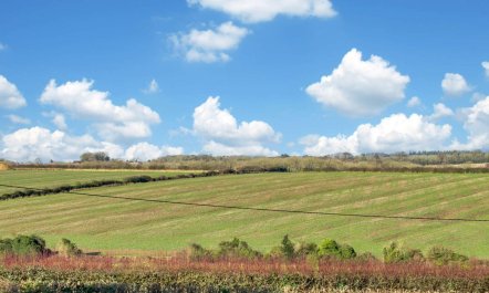 2 Bed in Blandford Forum 8