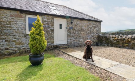 Gallow Law Cottage 1