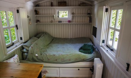 The Snug 4