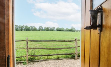 The Shooting Folly 3