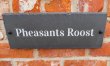 Pheasant's Roost 2