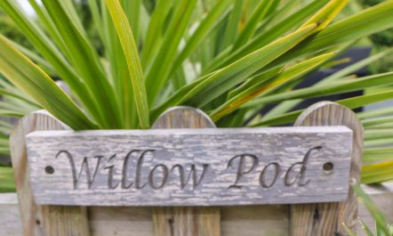 Willow Pod 1