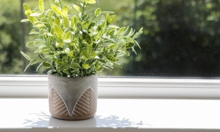 Foulsyke Farm Bungalow 0