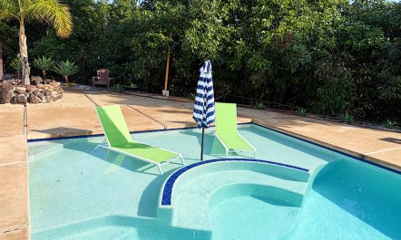 Pool Oasis 2