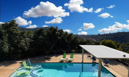 Pool Oasis 4