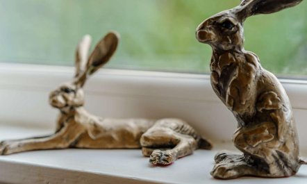 3 Bed in Blairgowrie 5