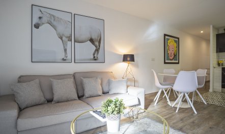 Ivory Oasis 2