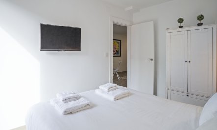 Ivory Oasis 8