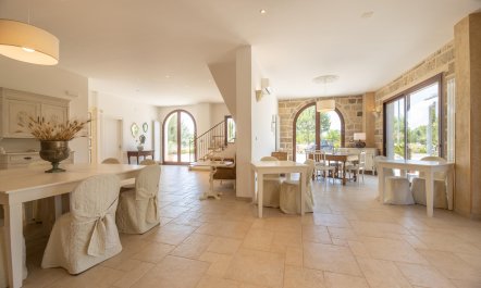 Aradeo Living 6