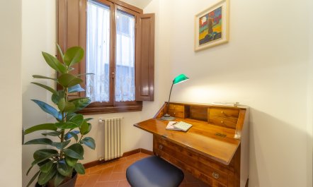 Firenze Fancy 7