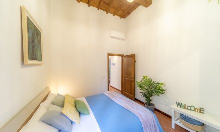 Firenze Fancy 5
