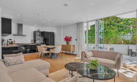 The Scent of Lemons 0