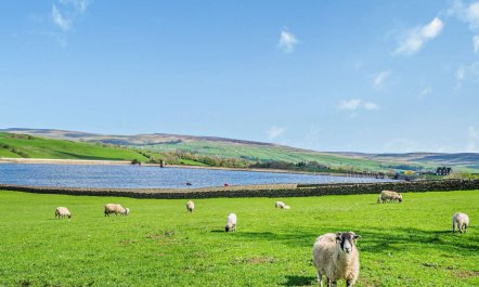 2 Bed in Barnard Castle 3