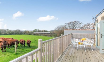 3 Bed in Helston 8