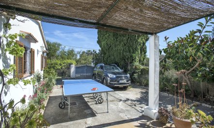 Maria on the Mountain 3