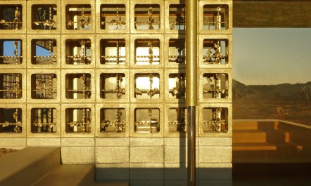 Golden Acid 7