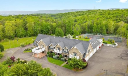 The Pocono Mansion