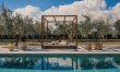 In The Olive Grove 2