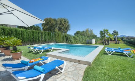 A Portrait of Pollen&ccedil;a 3