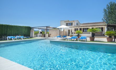 A Portrait of Pollen&ccedil;a 2