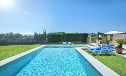 A Portrait of Pollen&ccedil;a 3