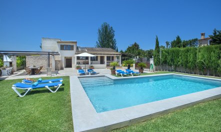 A Portrait of Pollen&ccedil;a