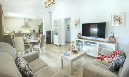 A Portrait of Pollen&ccedil;a 8