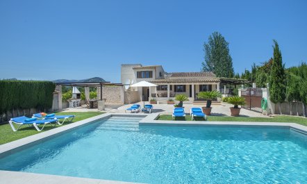 A Portrait of Pollen&ccedil;a 2