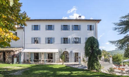 Sun-Kissed Green Heart 1