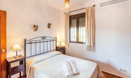 Siesta Siesta 6