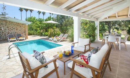 Among the Hilltops 0