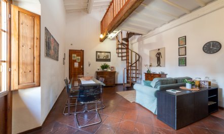 Florentine Holiday 3