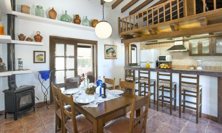 Pollen&ccedil;a Pad 2