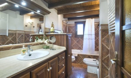 Pollen&ccedil;a Pad 9