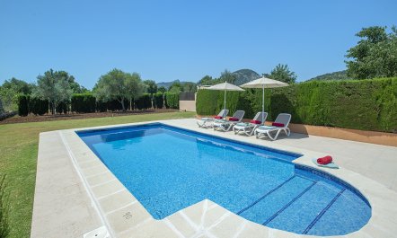 Pollen&ccedil;a Pad 2