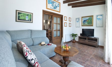 Pollen&ccedil;a Pad 3