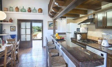 Pollen&ccedil;a Pad 1